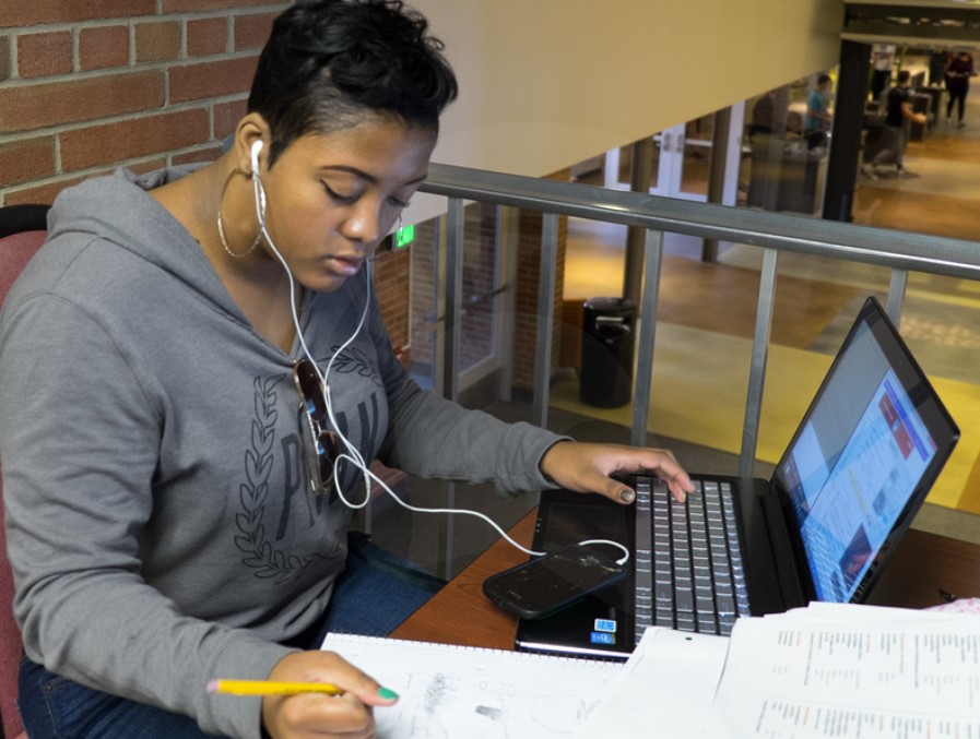 a person sitting at a desk using a laptop