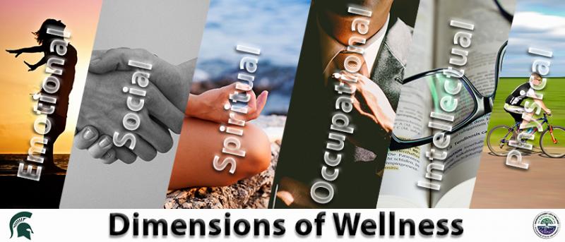 Dimensions of Wellness