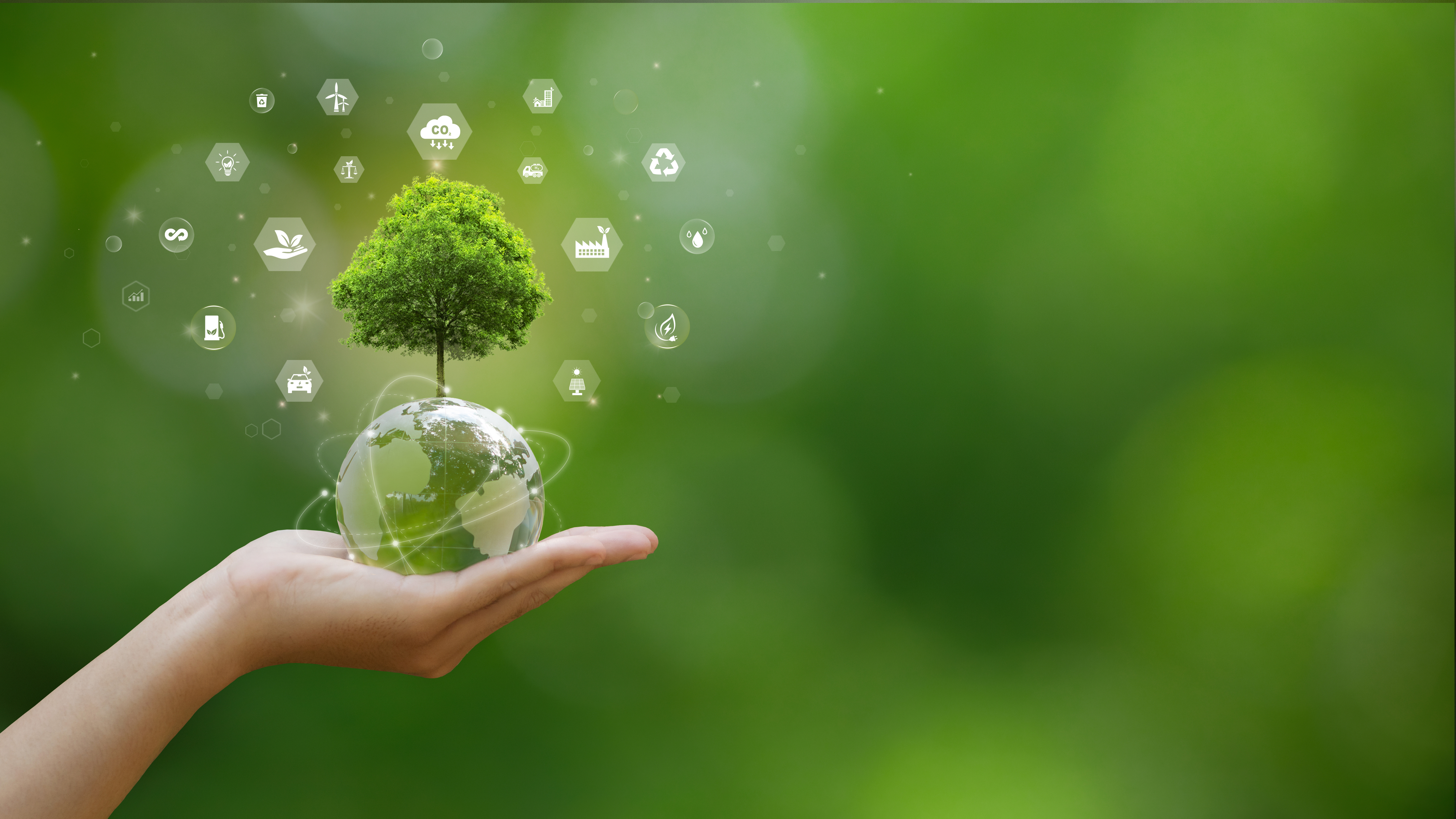 Concepts SUTL A hand holding up a miniature globe with a tree growing from the top.
