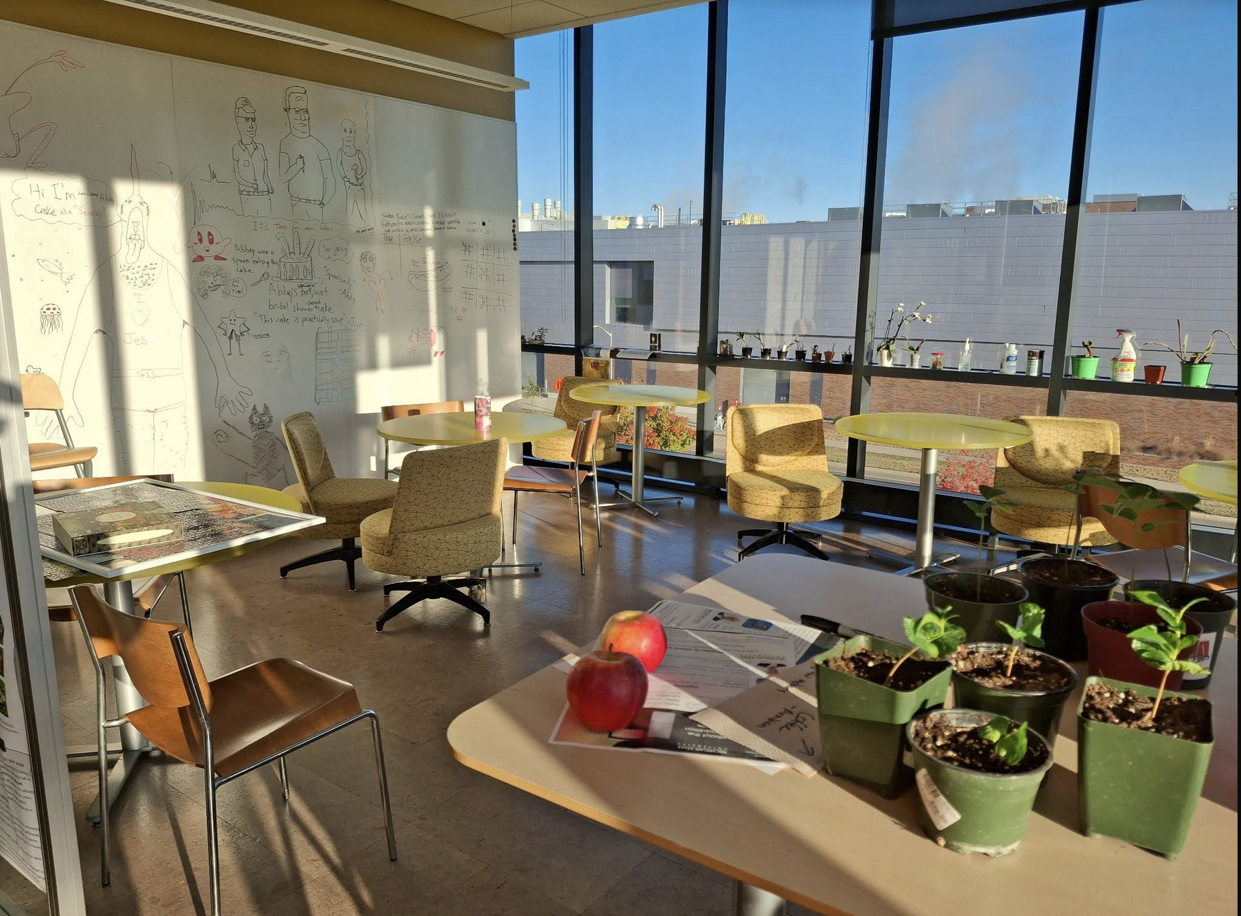Scientific Studies Project SUTL An empty classroom with a collection of cartoon characters drawn on a whiteboard.