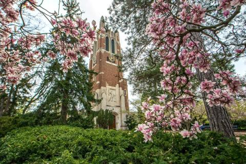 Beaumont Tower stands in the background, while the foreground is flanked by pink apple blossoms.