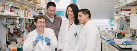 Graduate students in a lab looking at a sample