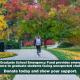 Giving Tuesday 2023 A student walking away from the camera on a fall afternoon.