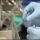 Photo of hands wearing rubber globes holding a test tube.
