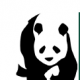 The Role of Conservation in Creating a Vibrant Economy Panda
