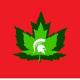 One Health Week Offers Opportunity to Share Research MSU’s Canadian Studies Center Hosts One Health Week