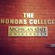 Sharper Focus Wider Lens panel discussion MSU Honors College